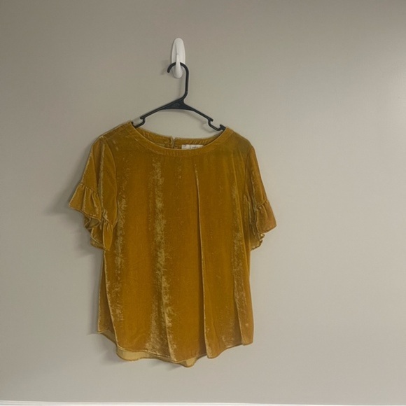 Velvet Ruffle Sleeve Top in Mustard LOFT Size Medium - Picture 1 of 4
